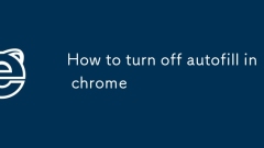 Cara mematikan autofill dalam krom