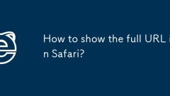 Bagaimana untuk menunjukkan URL penuh di Safari?