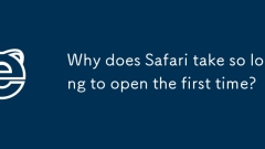Mengapa Safari mengambil masa yang lama untuk membuka kali pertama?