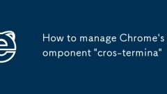 Cara Mengurus Komponen 'Cros-termina' Chrome