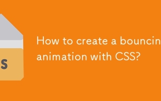 CSS? ?? ?????? ??? ??? ??????