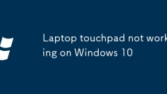 Pad sentuhan komputer riba tidak berfungsi pada Windows 10