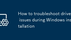 So f?rdern Sie Probleme bei Treiberproblemen w?hrend der Windows -Installation