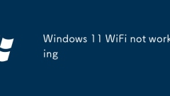 Windows 11 wifi tidak berfungsi
