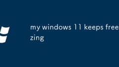 Windows 11 saya terus membeku