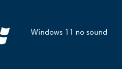 Windows 11 kein Ton