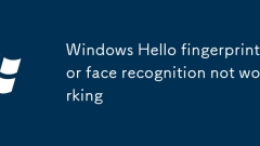 Windows Bonjour les empreintes digitales ou la reconnaissance du visage ne fonctionnent pas