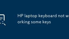 HP laptop keyboard not working some keys