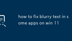 how to fix blurry text in some apps on win 11