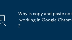 Why is copy and paste not working in Google Chrome?