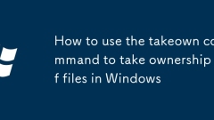Comment utiliser la commande Takeown pour s'approprier des fichiers dans Windows