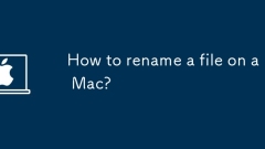 Mac?? ?? ??? ??? ??? ??????