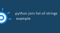 Python Join List of Strings Exemple