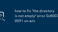 '????? ?? ?? ??'?? 0x80070091? ???? ??