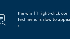 Win 11 ??? ??? ?? ?? ???? ??? ??? ?????.