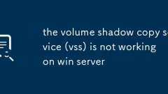 VSS (Volume Shadow Copy Service)? Win Server?? ???? ????.