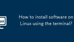 Wie installiere ich Software unter Linux mit dem Terminal?