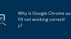 Mengapa Google Chrome Autofill tidak berfungsi dengan betul?