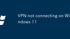 VPN wird nicht an Windows 11 hergestellt