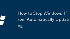 So verhindern Sie, dass Windows 11 automatisch aktualisiert wird