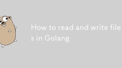 Golang에서 파일을 읽고 쓰는 방법