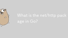 GO의 NET/HTTP 패키지는 무엇입니까?