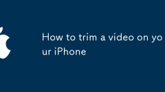 如何在iPhone上修剪視頻