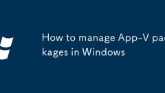 Windows?? APP-V ???? ???? ??