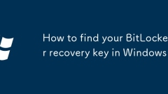 Windows?? Bitlocker ?? ?? ?? ??