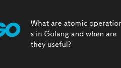 Golang의 원자 작전은 무엇이며 언제 유용합니까?