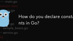 GO에서 상수를 어떻게 선언합니까?