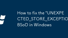 Windows?? 'Unexpected_Store_Exception'BSOD? ???? ??