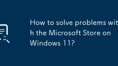 Bagaimana menyelesaikan masalah dengan kedai Microsoft di Windows 11?