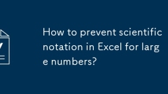 How to prevent scientific notation in Excel for large numbers?