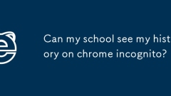 Bolehkah sekolah saya melihat sejarah saya di Chrome Incognito?