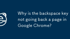 Mengapa kunci backspace tidak akan kembali halaman di Google Chrome?