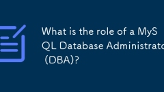 MySQL數據庫管理員(DBA)的作用是什麼?