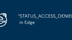 ?????? 'status_access_denied'