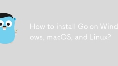 Bagaimana cara memasang Windows, MacOS, dan Linux?