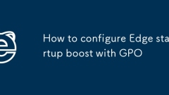 GPO? Edge Startup Boost? ???? ??