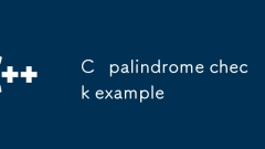 C Palindromeチェックの例