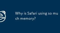 Safari? ? ??? ?? ???? ???? ?????