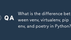 Quelle est la différence entre Venv, VirtualEnv, PiENVv et la poésie à Python?