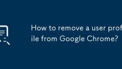 Bagaimana cara mengeluarkan profil pengguna dari Google Chrome?