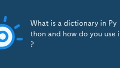 Qu'est-ce qu'un dictionnaire à Python et comment l'utilisez-vous?