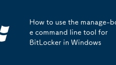 Cara Menggunakan Alat Baris Perintah Manage-BDE untuk Bitlocker di Windows