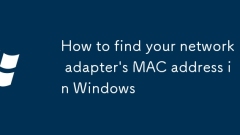 Cara Mencari Alamat MAC Penyesuai Rangkaian Anda di Windows