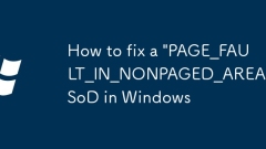 Cara Memperbaiki 'Page_Fault_in_nonpaged_area' BSOD di Windows