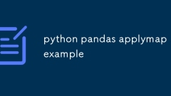 python pandas applymap example