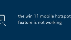 the win 11 mobile hotspot feature is not working